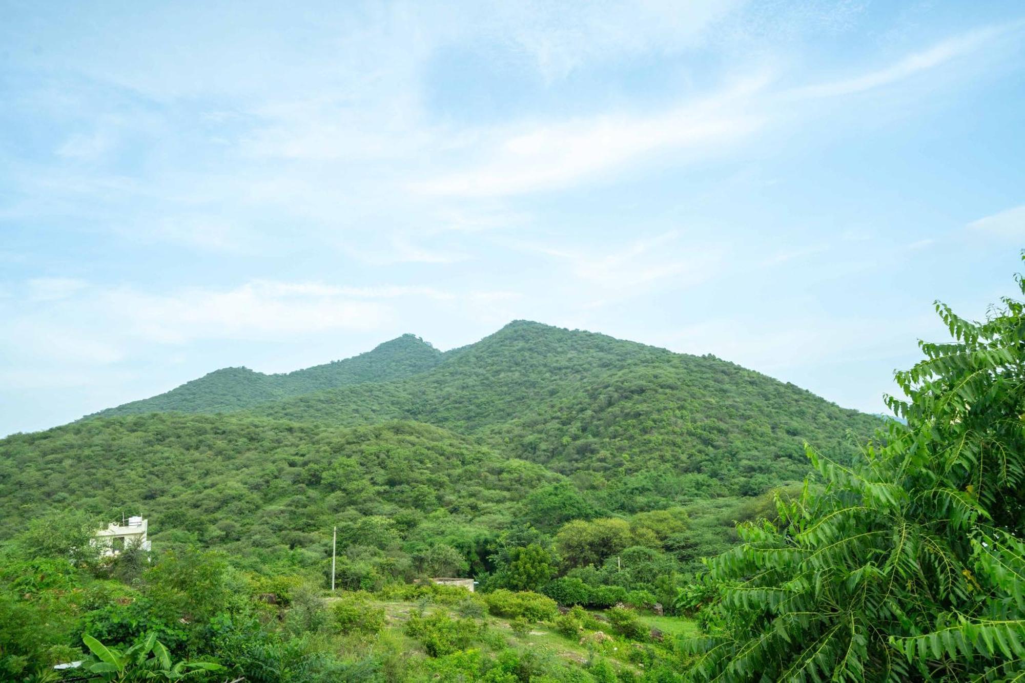 Hotel Treebo The Aravali Getaway Udajpur Zewnętrze zdjęcie